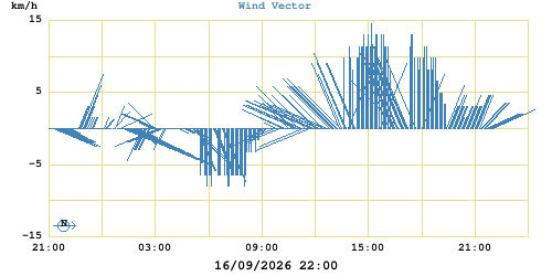Wind Vector